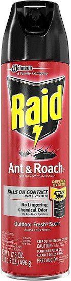 Red can of Raid Insect killer